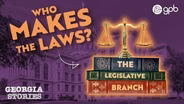 The Legislative Branch of Georgia