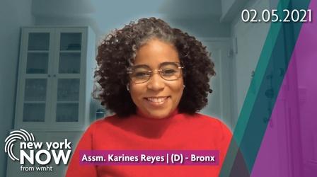 Video thumbnail: New York NOW Assemblymember Karines Reyes on the NY HERO Act