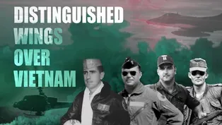 Distinguished Wings Over Vietnam