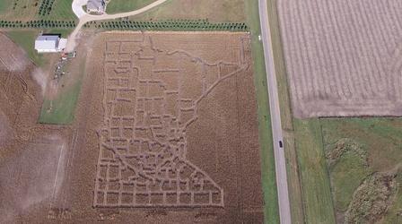 Video thumbnail: Postcards Minnesota Corn Maze