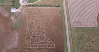 Minnesota Corn Maze