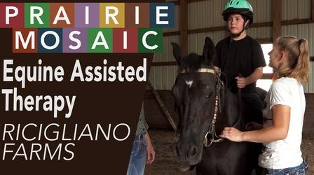 Video thumbnail: Prairie Public Shorts Equine Assisted Therapy: Ricigliano Farms