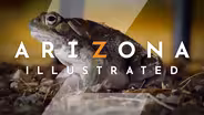Psychedelic Toads, Fossils & Bonsai