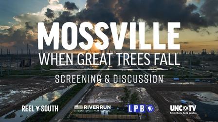 Video thumbnail: PBS North Carolina Specials Discussion | REEL SOUTH Mossville: When Great Trees Fall
