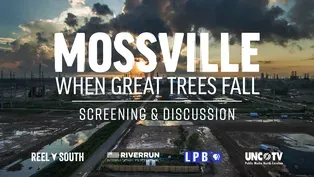 Discussion | REEL SOUTH Mossville: When Great Trees Fall