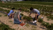 Living in the Lehigh Valley: Locally Grown Fruits-Vegetables