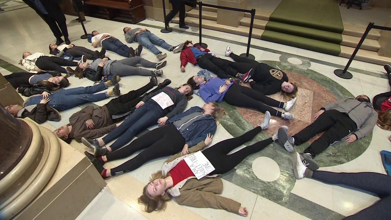 Youthful Gun Protests at the State Capitol