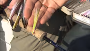 Albacore on the Flies | Gear Time