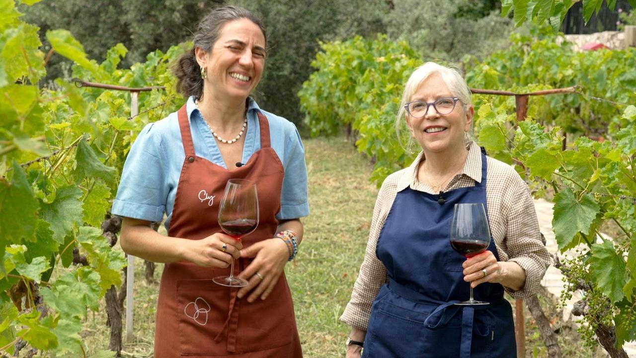 Sara's Weeknight Meals | The Turkish Table