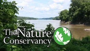 Focus On: The Nature Conservancy