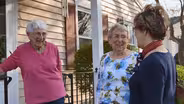 Vaccines | Guideline for Older Adults