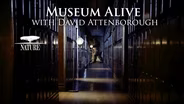 Nature #4309 | Museum Alive with David Attenborough | Trailer
