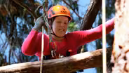 Tree Climbing School