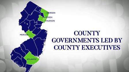 Candidates line up for county executive races