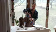 Artist Christina Bothwell on her process