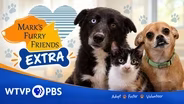 9/17/2026 | Horseshoe Bat, Vampire Bat and Prada | Mark's Furry Friends Extra