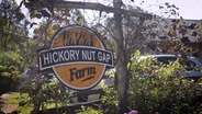 Hickory Nut Gap Farms