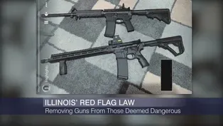 Removing Guns From Those Deemed Dangerous