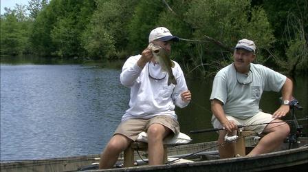 Video thumbnail: Carolina Outdoor Journal Pond Bass