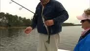 Grassy Bottom Trout