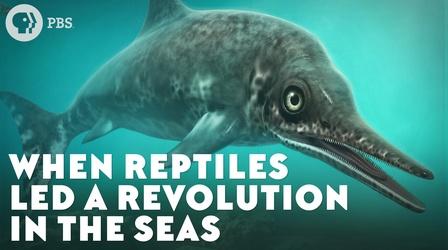 Video thumbnail: Eons When Ichthyosaurs Led a Revolution in the Seas