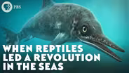 When Ichthyosaurs Led a Revolution in the Seas