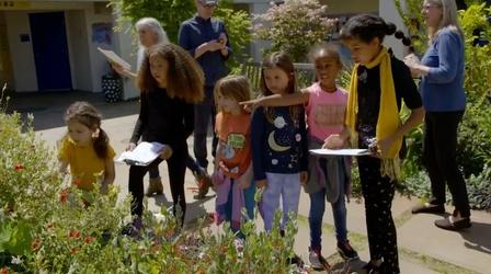 Video thumbnail: Nature Citizen Science Story: The Great Sunflower Project