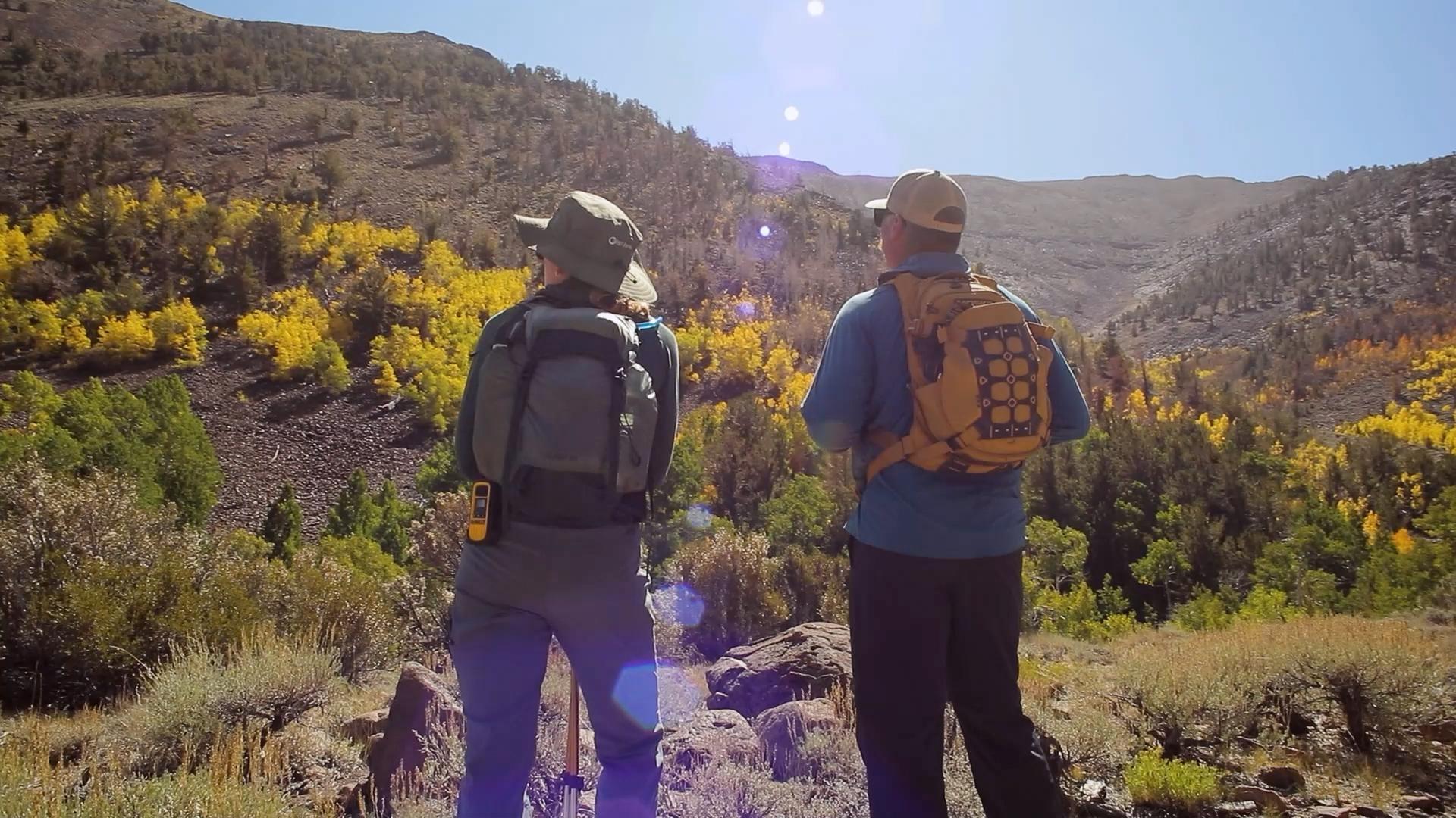 Travel from Eureka to the Alta-Toquima Wilderness for some camping fun and a hike up Mount Jefferson