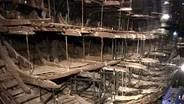 Mary Rose