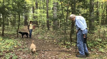Video thumbnail: Windows to the Wild Forest Therapy With Dogs