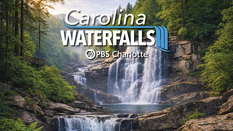 Carolina Waterfalls