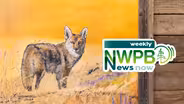 Idaho's Gender-Affirming Care Bill, Record Fire Season in Oregon and a Shrub-Steppe Art Show: September 27, 2024