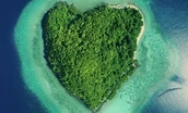 Islands of Wonder 102