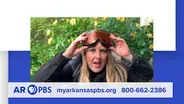 Arkansas PBS is Supporting Education