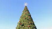 Las Cruces Tree Lighting Ceremony