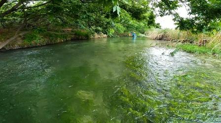 Video thumbnail: Wild Rivers with Tillie The Devil’s River - An Unexpected Gem in Texas