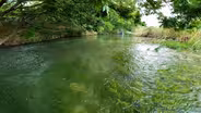 The Devil’s River - An Unexpected Gem in Texas