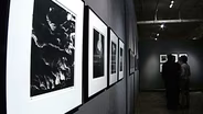 Untitled Gallery