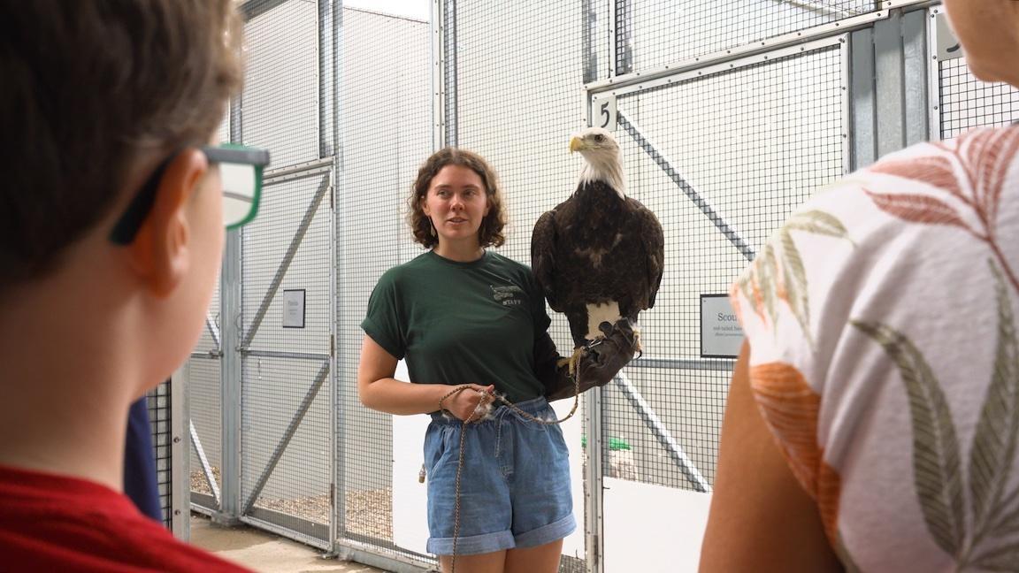 Join a group of long-time friends on their annual rabbit hunt and the Raptor Center cares for birds.