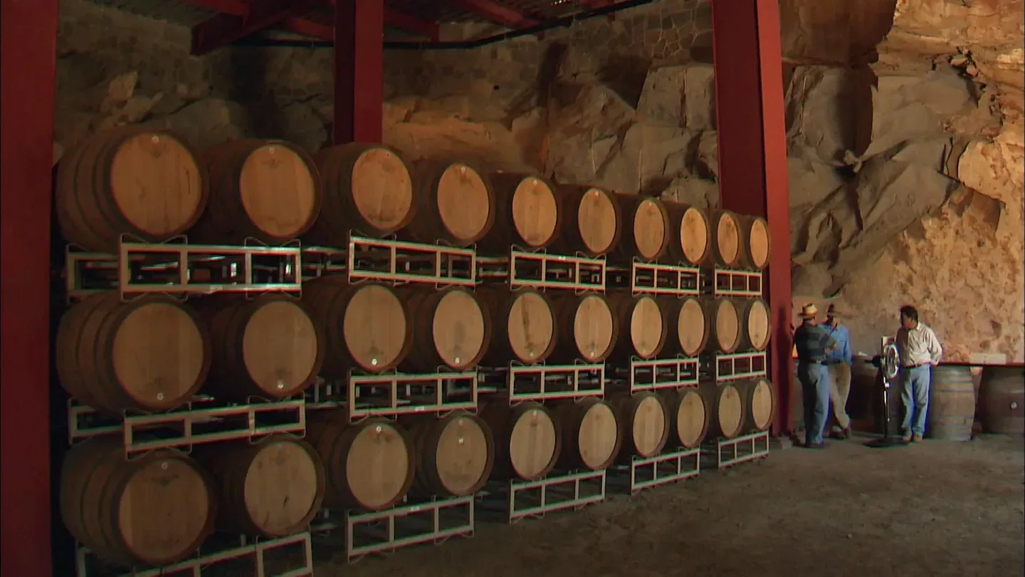 Wines of the Desert