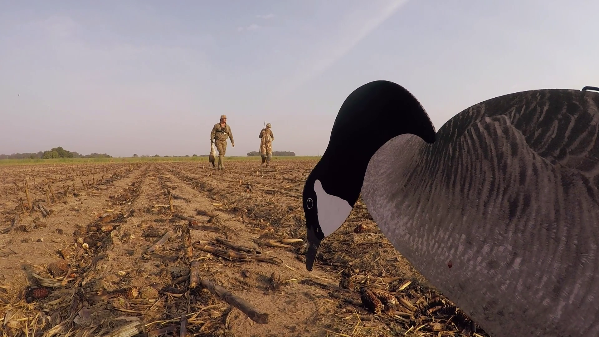 We hunt Canada geese in Humphreys County, then head to Sardis Lake for crappie fishing.