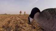 3704 Humphreys County Canada Goose Hunt, Sardis Lake Crappie Fishing