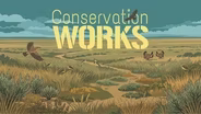 Prairie Life in Miniature