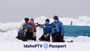 New Passport Offerings