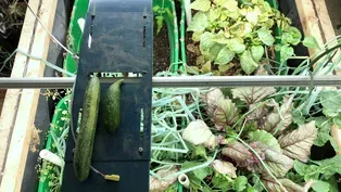 The best kept secret at Yellow Medicine East: the greenhouse