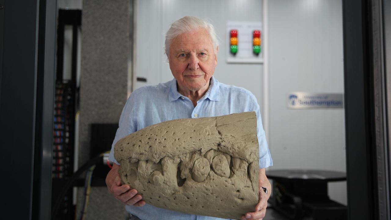 Nature | Attenborough and the Jurassic Sea Monster