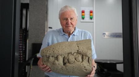 Video thumbnail: Nature Attenborough and the Jurassic Sea Monster
