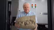 Attenborough and the Jurassic Sea Monster