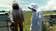 A Bee’s Food: Honey
