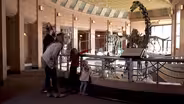 Family Fieldtrip: Museums